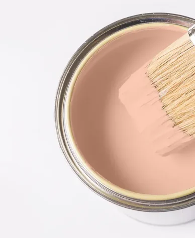 paint pail filled with brush dipping in paint